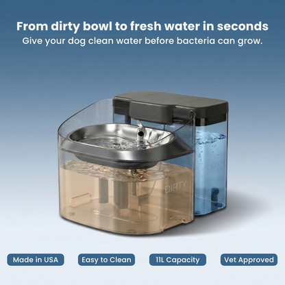 Smart Dog Water Fountain