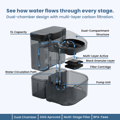 Smart Dog Water Fountain