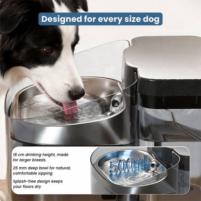 Smart Dog Water Fountain