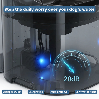 Smart Dog Water Fountain